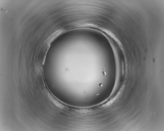 X0000062140897200512091212