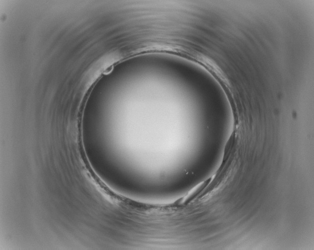 X0000062140898200512091212