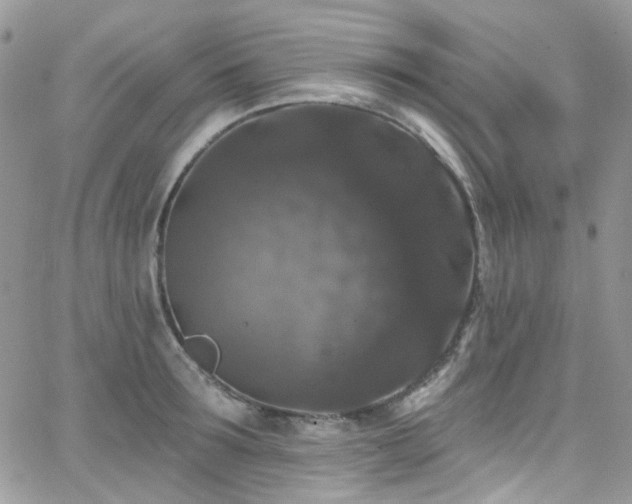 X0000062140899200512091212