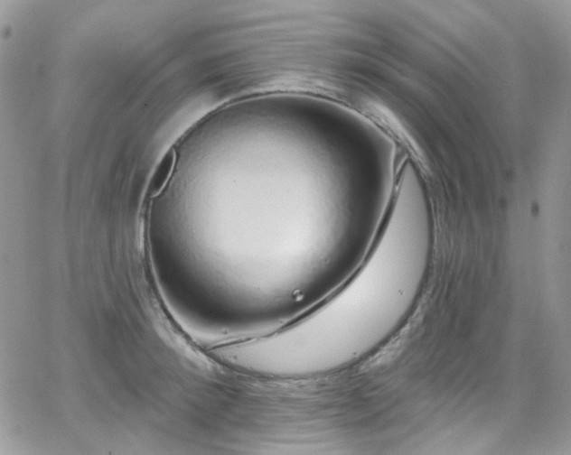 X0000062140900200512091212