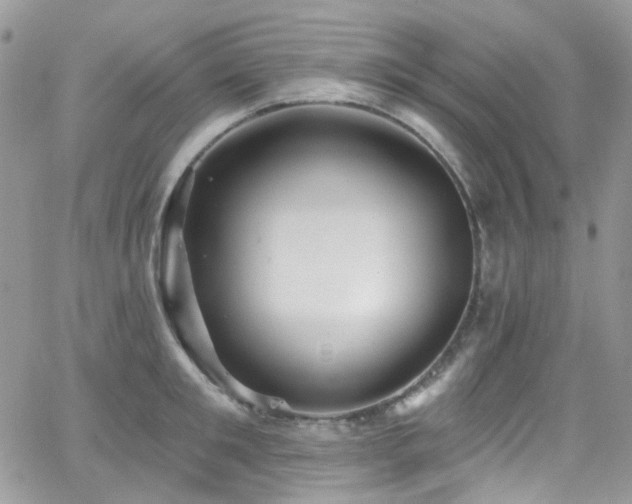 X0000062140901200512091212