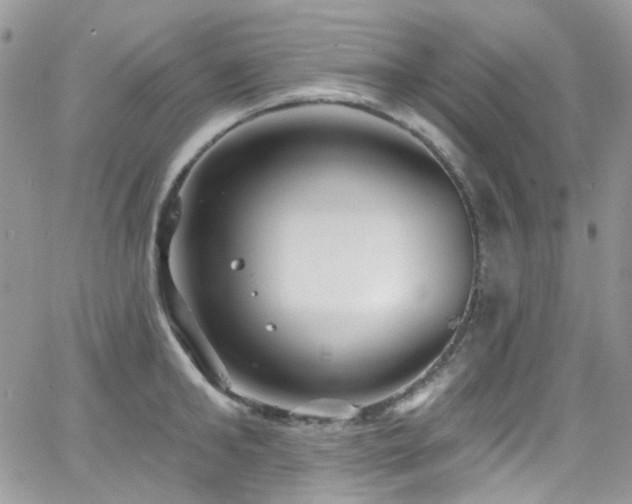 X0000062140902200512091212