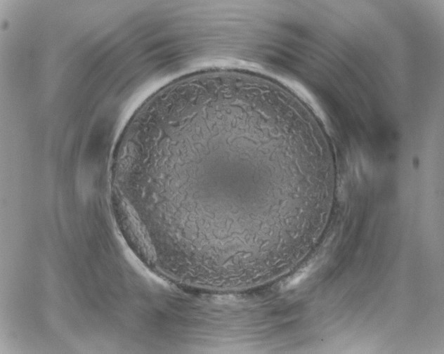 X0000062140903200512091212