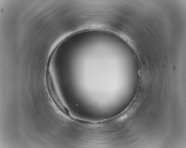 X0000062140904200512091212