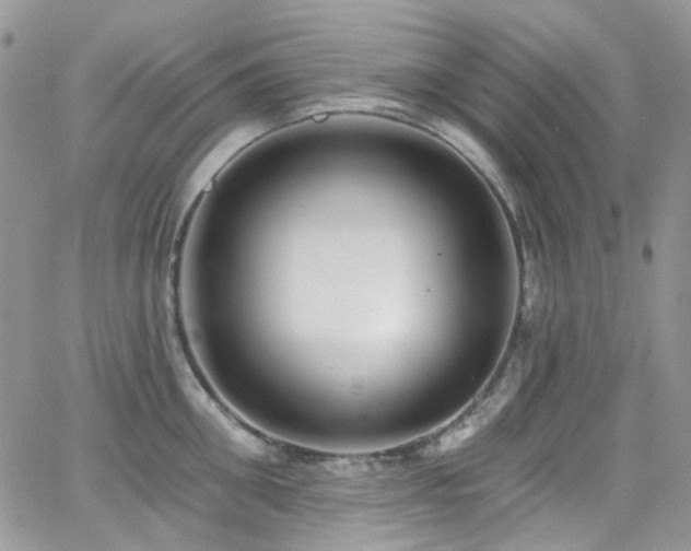 X0000062140906200512091212