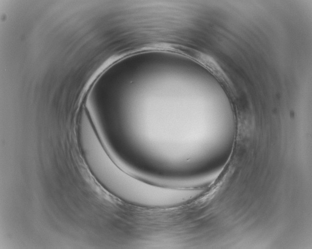 X0000062140908200512091212