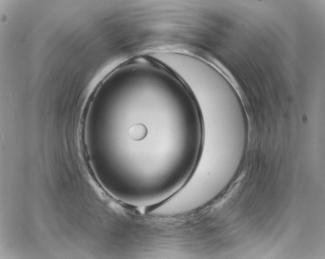 X0000062140909200512091212