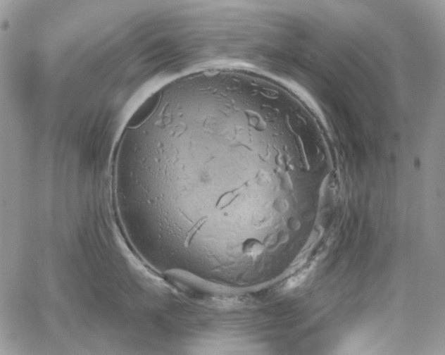 X0000062140911200512091212