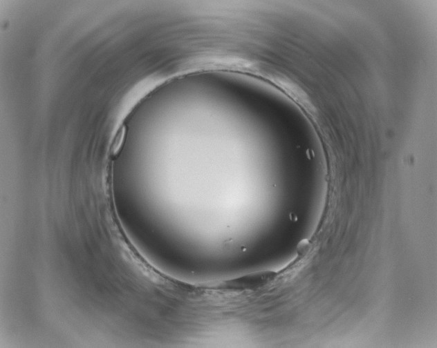 X0000062140912200512091212