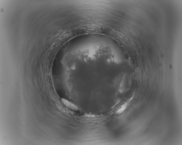 X0000062140913200512091211