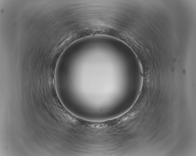 X0000062140916200512091211