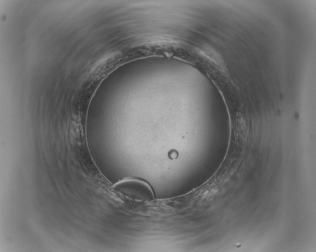 X0000062140918200512091211