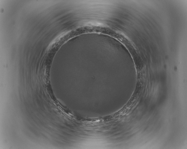 X0000062140919200512091211