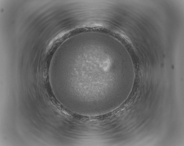 X0000062140920200512091211