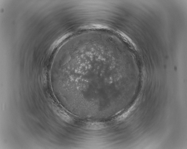 X0000062140921200512091211