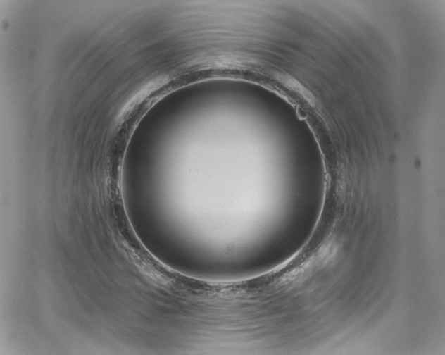 X0000062140922200512091211