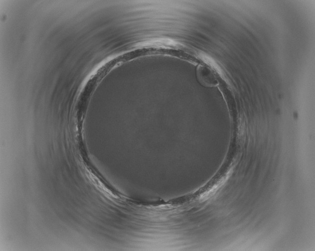 X0000062140923200512091211