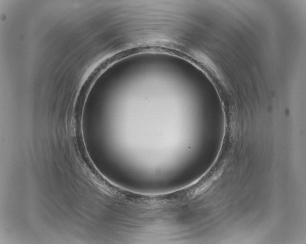 X0000062140924200512091211