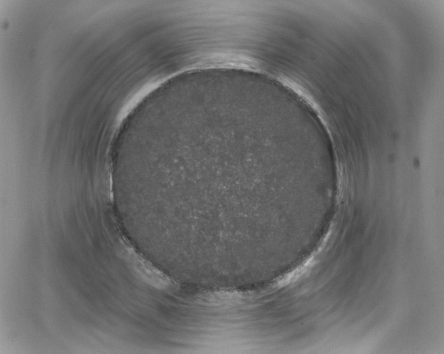 X0000062140925200512091211