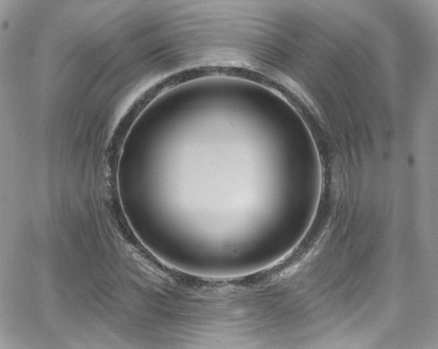 X0000062140926200512091211