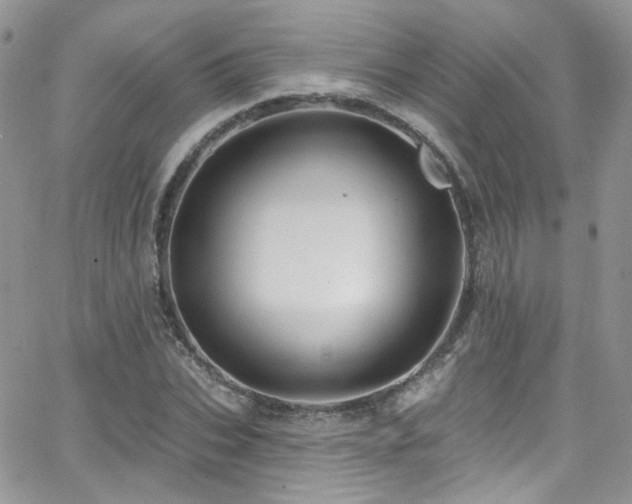 X0000062140927200512091211