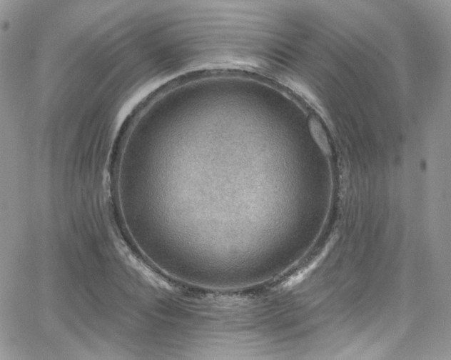 X0000062140928200512091211