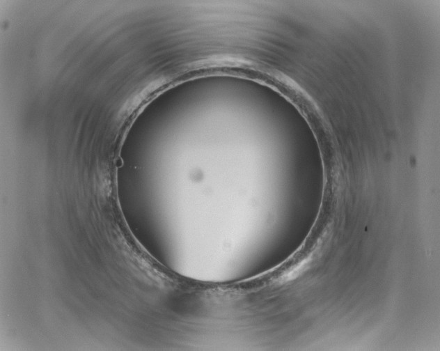 X0000062140929200512091211