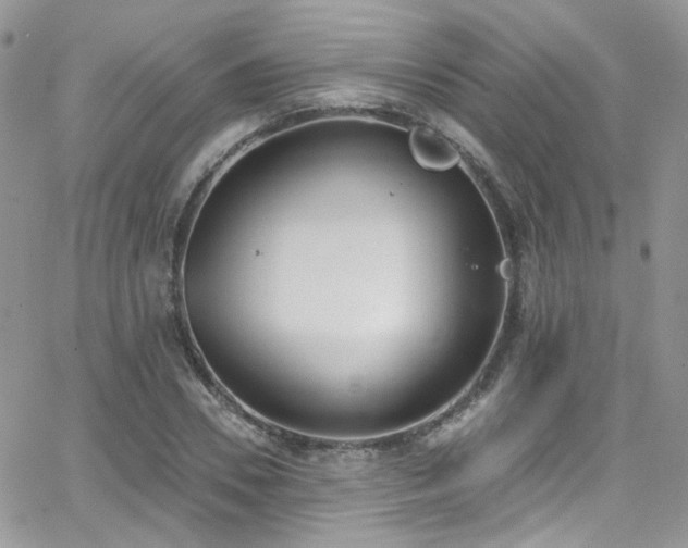 X0000062140930200512091211