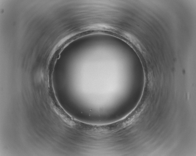 X0000062140931200512091211