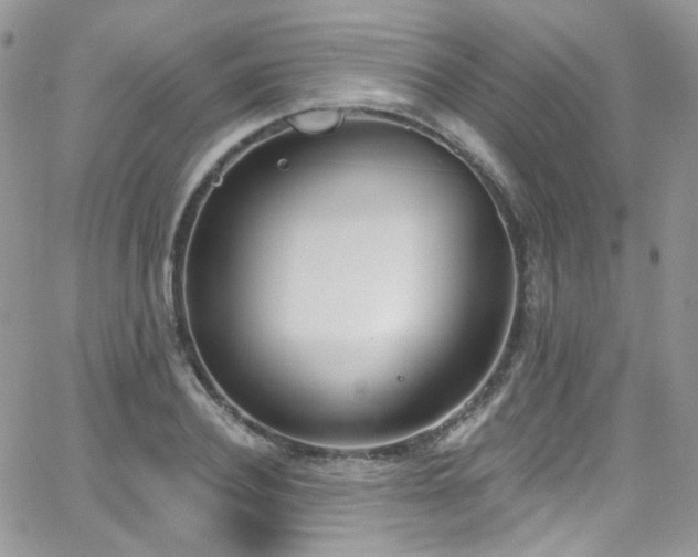 X0000062140932200512091211