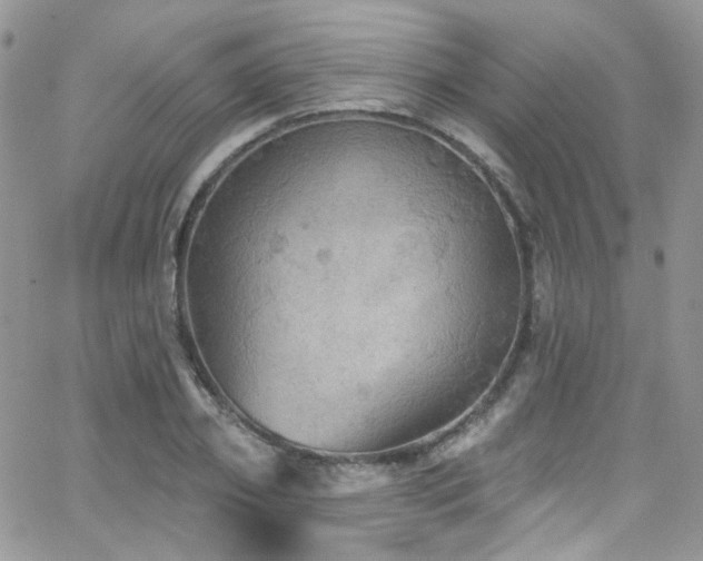 X0000062140933200512091211