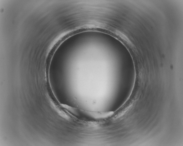 X0000062140934200512091211