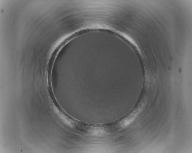 X0000062140935200512091211