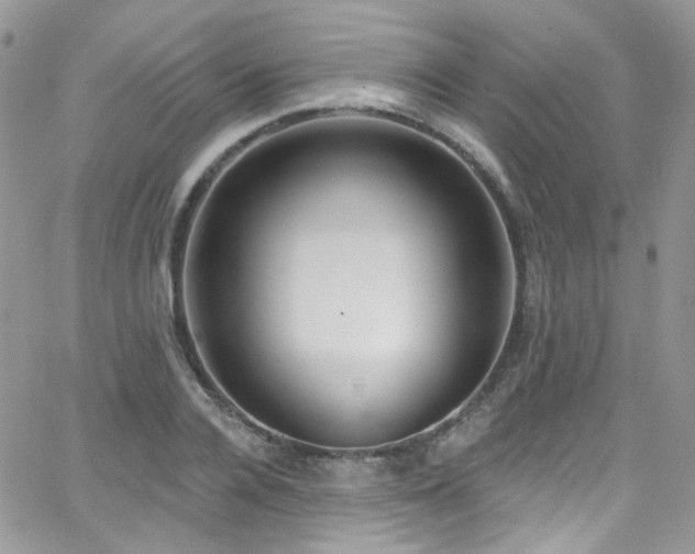 X0000062140936200512091211