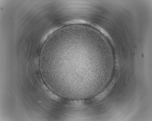 X0000062140937200512091211