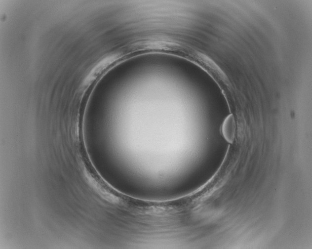 X0000062140938200512091211