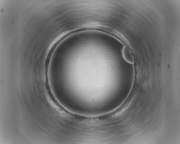 X0000062140939200512091211