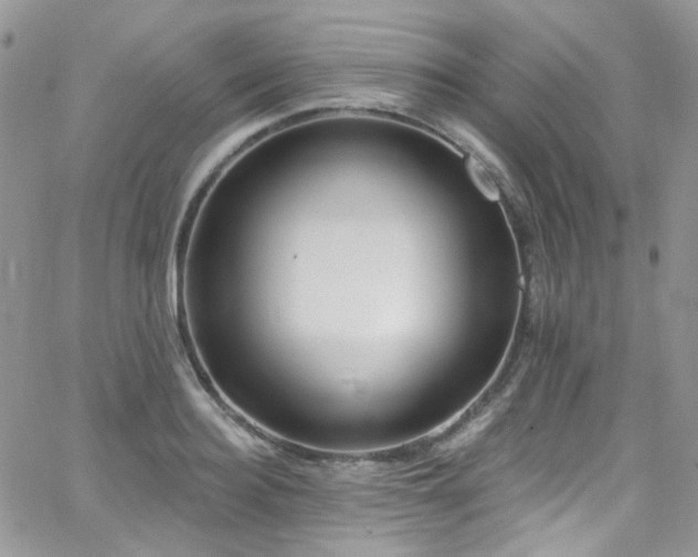 X0000062140940200512091211