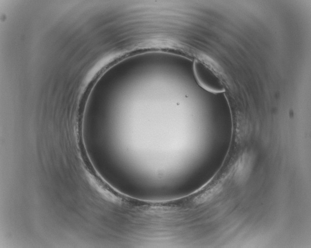 X0000062140942200512091211