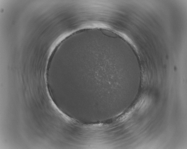 X0000062140943200512091211