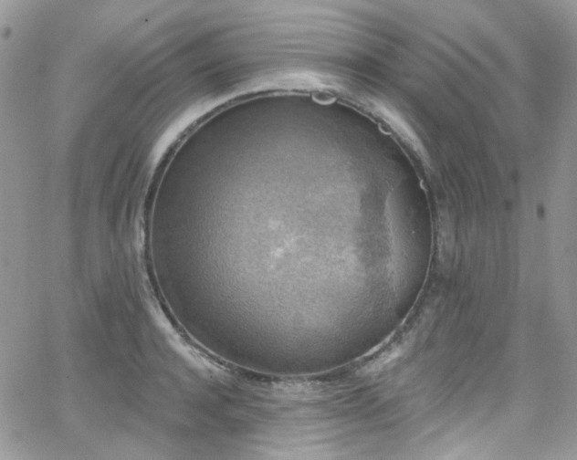 X0000062140944200512091211