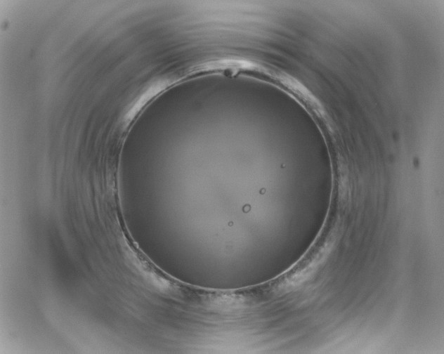 X0000062140945200512091211