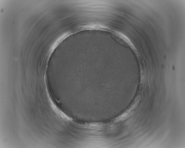 X0000062140946200512091211