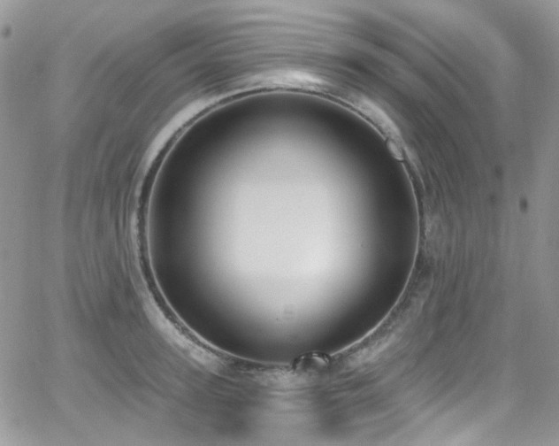 X0000062140947200512091211