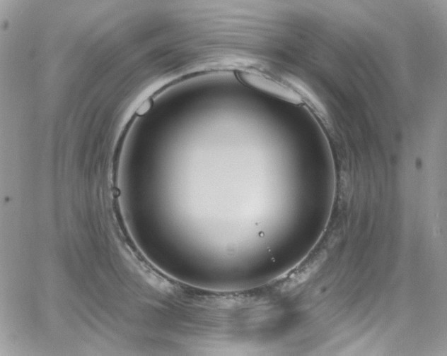 X0000062140948200512091212