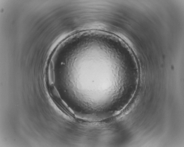 X0000062140949200512091212