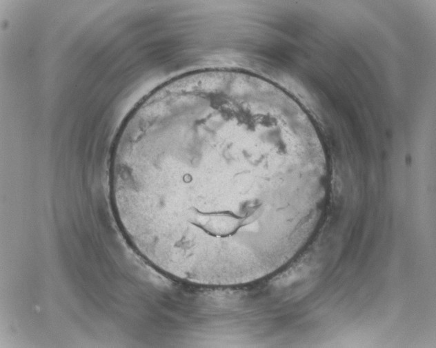 X0000062140950200512091212