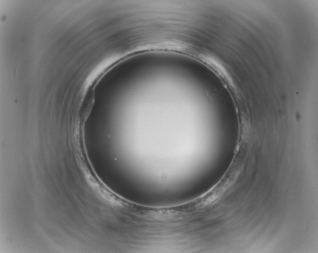 X0000062140952200512091212