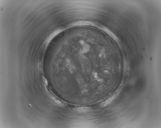 X0000062140953200512091212