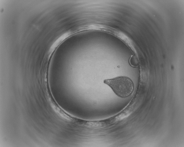 X0000062140954200512091212